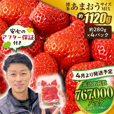 【アフター保証】  4月発送!「博多あまおう」約280g×4パック【JAほたるの里】_HA0526