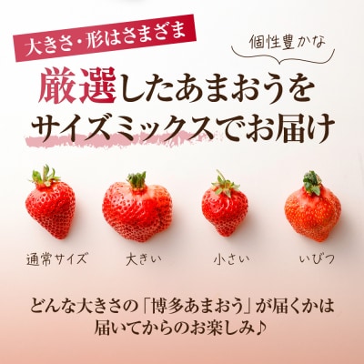 【アフター保証】  4月発送!「博多あまおう」約280g×4パック【JAほたるの里】_HA0526
