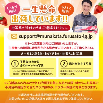 【アフター保証】  4月発送!「博多あまおう」約280g×4パック【JAほたるの里】_HA0526