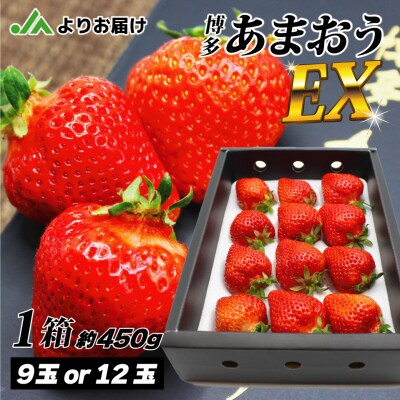 1月より順次発送!「博多あまおう」EX　贈答用化粧箱　約450g 1箱【ほたるの里】_HA0752