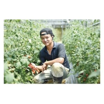 まるでフルーツ!「とMAX」ミニトマトアイコ(1kg)【とまとのまつお】_HA0375