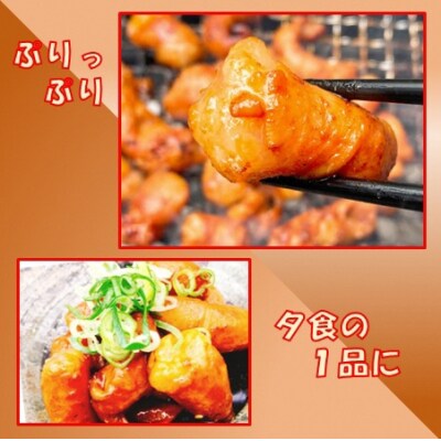 牛コロホルモン(タレ漬け)2kg(200g×10P)【宗像肉工房】_PA0987