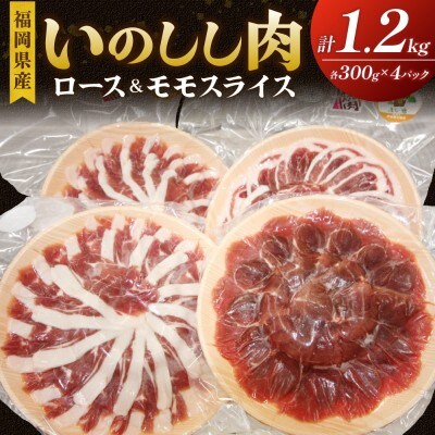 福岡県産いのしし肉ロース&モモ スライス1.2kg(300g×4P)【宗像観光協会】_HA1037