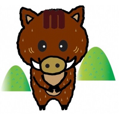 福岡県産いのしし肉ロース&モモ スライス1.2kg(300g×4P)【宗像観光協会】_HA1037