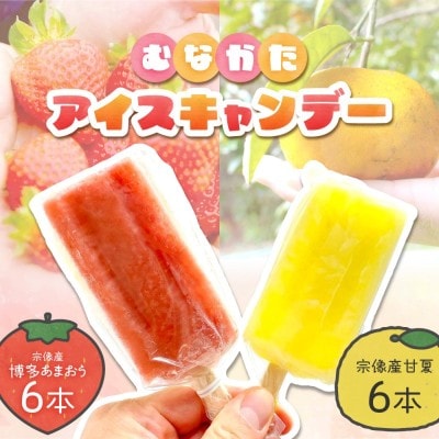 むなかたアイスキャンデー(宗像産博多あまおう/宗像産甘夏)各6本(計12本)_HA1021