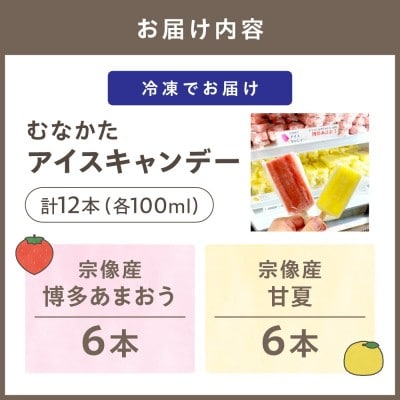 むなかたアイスキャンデー(宗像産博多あまおう/宗像産甘夏)各6本(計12本)_HA1021