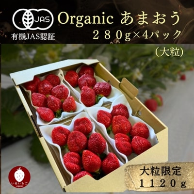 オーガニックあまおう 「いせいちご」 おまかせ4パック(大粒)【伊世いちご畑】_HA1019