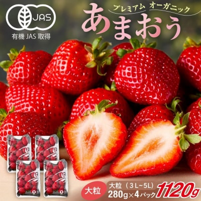 オーガニックあまおう 「いせいちご」 おまかせ4パック(大粒)【伊世いちご畑】_HA1019