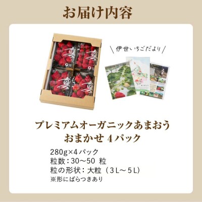 オーガニックあまおう 「いせいちご」 おまかせ4パック(大粒)【伊世いちご畑】_HA1019