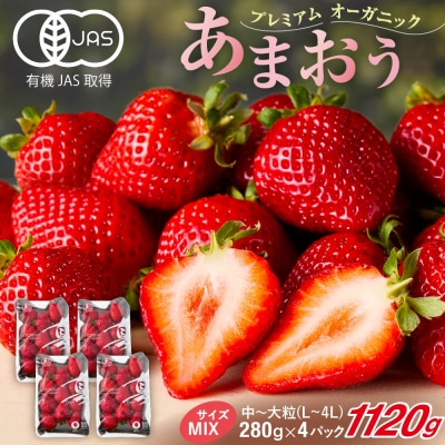 オーガニックあまおう 「いせいちご」 おまかせ4パック(MIX)【伊世いちご畑】_HA1018