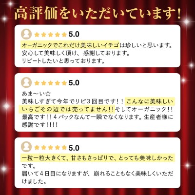 オーガニックあまおう 「いせいちご」 おまかせ4パック(MIX)【伊世いちご畑】_HA1018