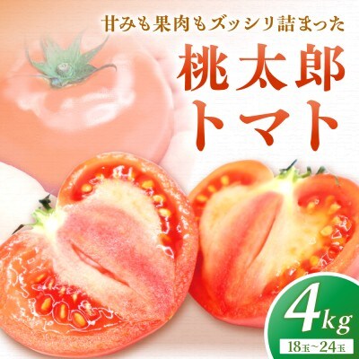桃太郎トマト4kg(18玉～24玉)【ほたるの里】_HA0572