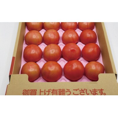 桃太郎トマト4kg(18玉～24玉)【ほたるの里】_HA0572