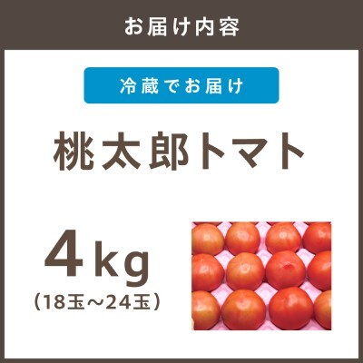 桃太郎トマト4kg(18玉～24玉)【ほたるの里】_HA0572
