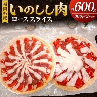 福岡県産いのしし肉 スライス 600g(300g×2パック)【観光創造DMOむなかた】_HA1050