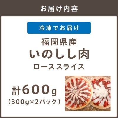 福岡県産いのしし肉ロース スライス 600g(300g×2パック)【宗像観光協会】_HA1050