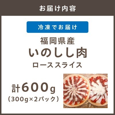 福岡県産いのしし肉 スライス 600g(300g×2パック)【観光創造DMOむなかた】_HA1050