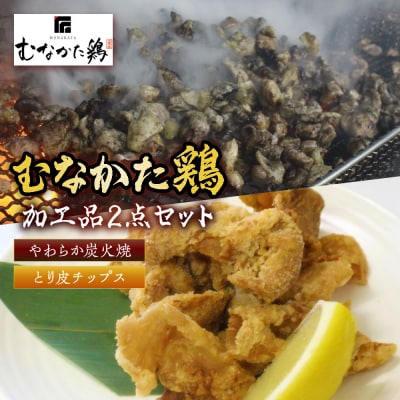 むなかた鶏加工品2点セット(とり皮チップス・やわらか炭火焼)【道の駅】_HA0772