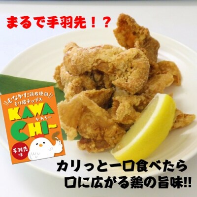 むなかた鶏加工品2点セット(とり皮チップス・やわらか炭火焼)【道の駅】_HA0772