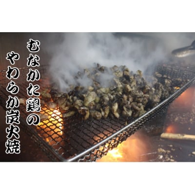 むなかた鶏加工品2点セット(とり皮チップス・やわらか炭火焼)【道の駅】_HA0772