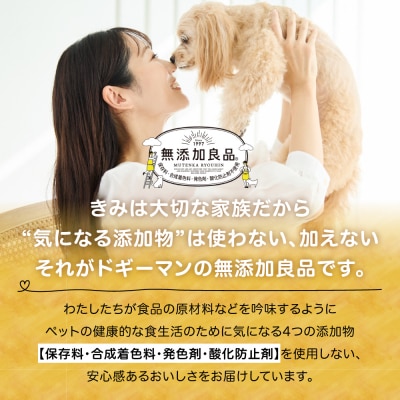 【ドッグフード】ドギーマン　無添加良品　アキレススティック20g×5袋_HA1080