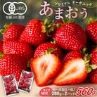 オーガニックあまおう「いせいちご」2パック(280g×2)【伊世いちご畑】_HA1116