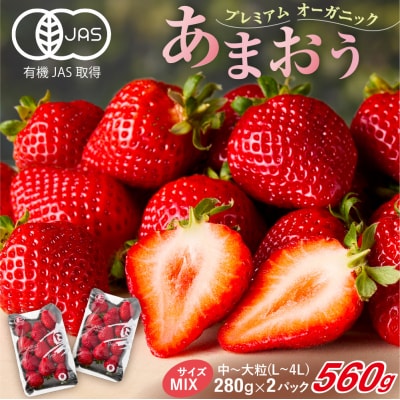 オーガニックあまおう「いせいちご」2パック(280g×2)【伊世いちご畑】_HA1116