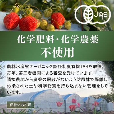 オーガニックあまおう「いせいちご」2パック(280g×2)【伊世いちご畑】_HA1116