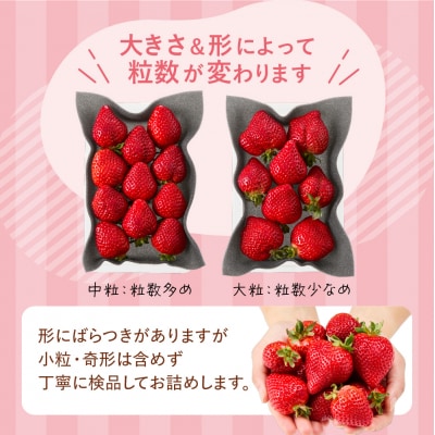 【先行予約】オーガニックあまおう「いせいちご」2パック(280g×2)【伊世いちご畑】_HA1116
