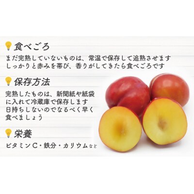 【先行予約】【2027年6月より順次発送】すもも(大石早生)1kg【JAほたるの里】_HA1254