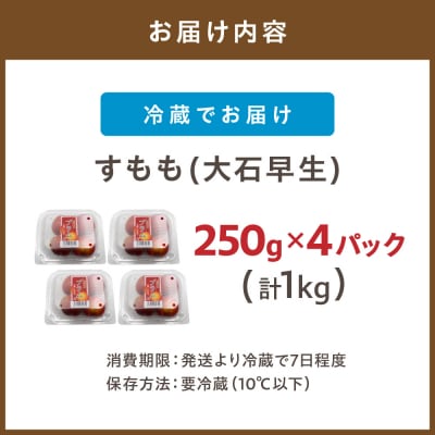 【先行予約】【2027年6月より順次発送】すもも(大石早生)1kg【JAほたるの里】_HA1254