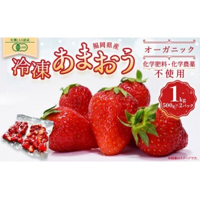 オーガニック冷凍あまおう 1kg (500g×2パック)【伊世いちご畑】_PA1315