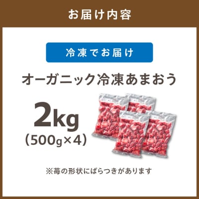 オーガニック冷凍あまおう 「いせいちご」2kg (500g×4パック)【伊世いちご畑】_HA1316