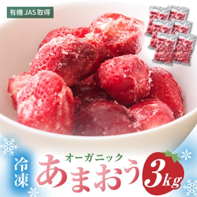 オーガニック冷凍あまおう 「いせいちご」3kg (500g×6パック)【伊世いちご畑】_HA1317
