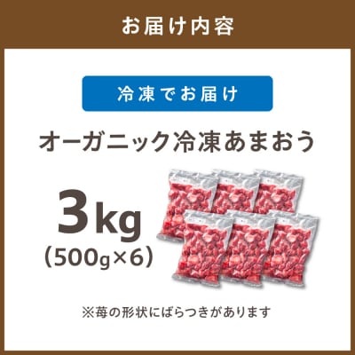 オーガニック冷凍あまおう 「いせいちご」3kg (500g×6パック)【伊世いちご畑】_HA1317