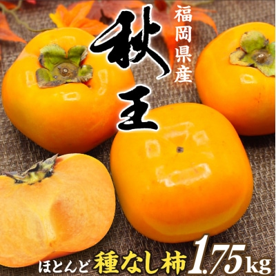 福岡県ブランド柿「秋王」化粧箱約1.75kg【JAほたるの里】_HA1318