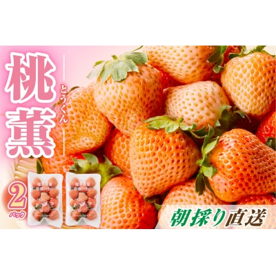 【先行受付】福岡県産　桃薫　2パックセット【ナチュレッシュ・ファーム・ジェイピー】_HA1338