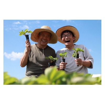 【先行受付】福岡県産　あまおう&桃薫セット【ナチュレッシュ・ファーム・ジェイピー】_HA1339