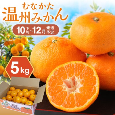 むなかた温州みかん 5kg 【2026年10月下旬～12月発送】【ほたるの里】_HA1345