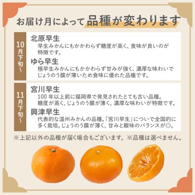 むなかた温州みかん 5kg 【2026年10月下旬～12月発送】【ほたるの里】_HA1345