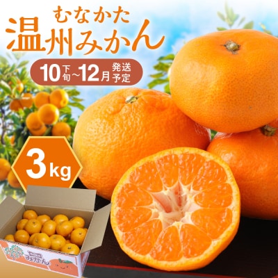 むなかた温州みかん 3kg 【2026年10月下旬～12月発送】【ほたるの里】_HA1346
