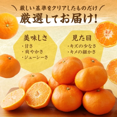 むなかた温州みかん 3kg 【2026年10月下旬～12月発送】【ほたるの里】_HA1346