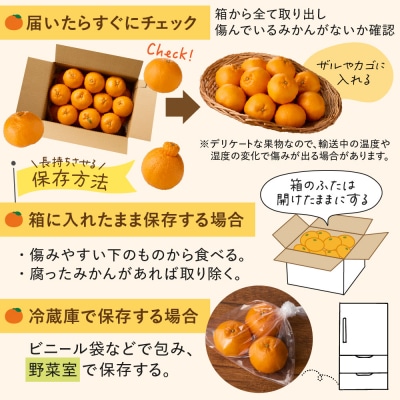 むなかた温州みかん 3kg 【2026年10月下旬～12月発送】【ほたるの里】_HA1346