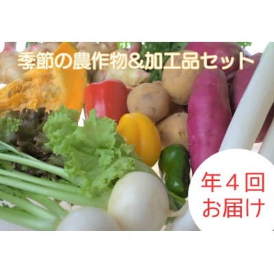 【定期便/年4回 】有機肥料で育った季節の農産物&加工品のセット【アグリCATS】_HB0115