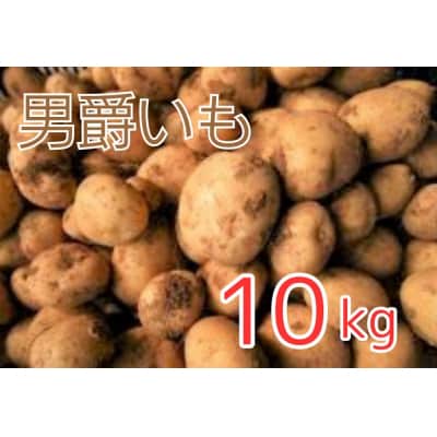 循環型有機肥料で育った男爵いも　10kg【アグリCATS】_HA1349