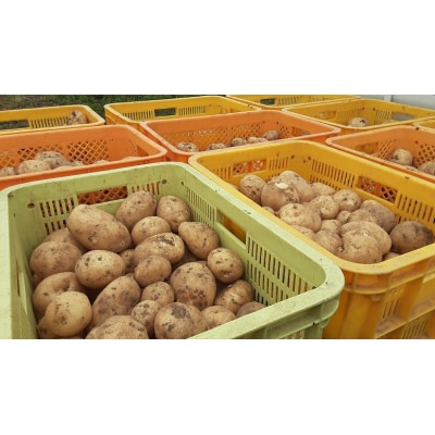 循環型有機肥料で育った男爵いも　10kg【アグリCATS】_HA1349