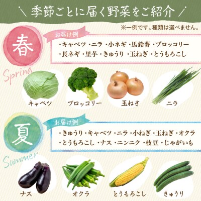 【定期便/年12回/毎月お届け】旬のお野菜詰合せセット【道の駅むなかた】_HB0124