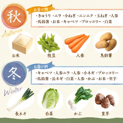 【定期便/年12回/毎月お届け】旬のお野菜詰合せセット【道の駅むなかた】_HB0124