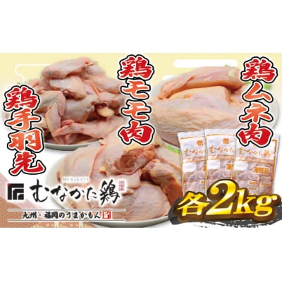宗像産ブランド鶏【むなかた鶏】食べ比べセット【JAほたる】_HA1424