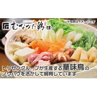 宗像産ブランド鶏【むなかた鶏】食べ比べセット【JAほたる】_HA1424